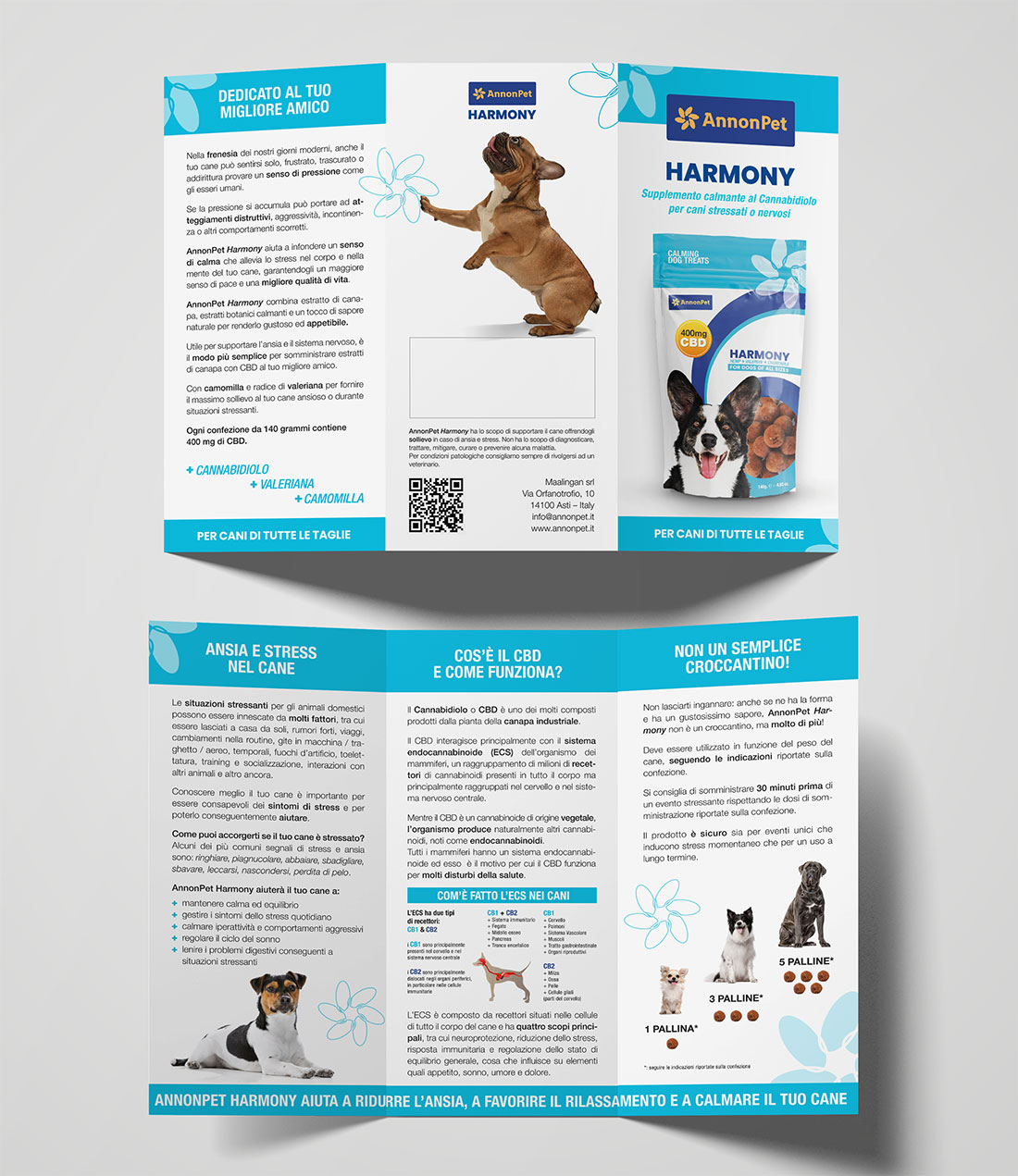 Annonpet Dog treats leaflet design