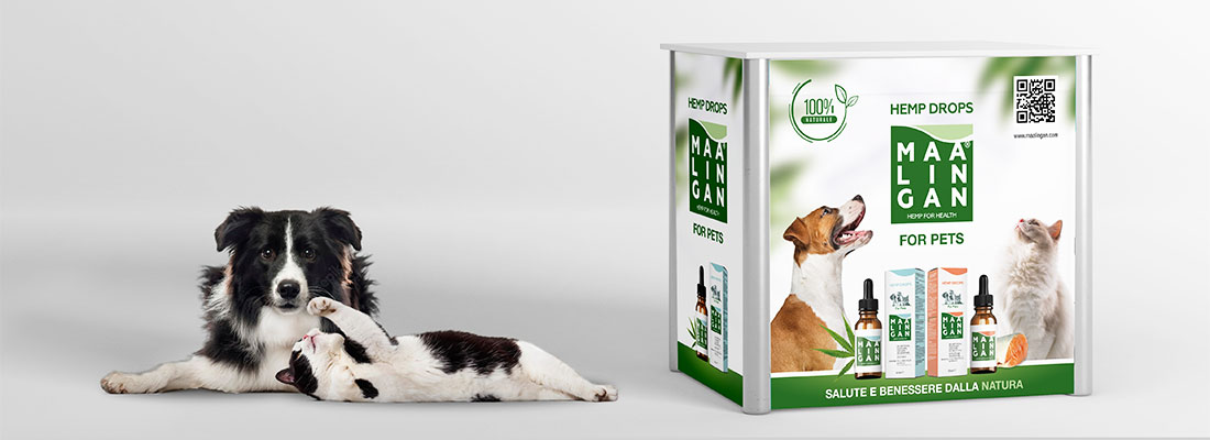 CBD oil for pets desk design